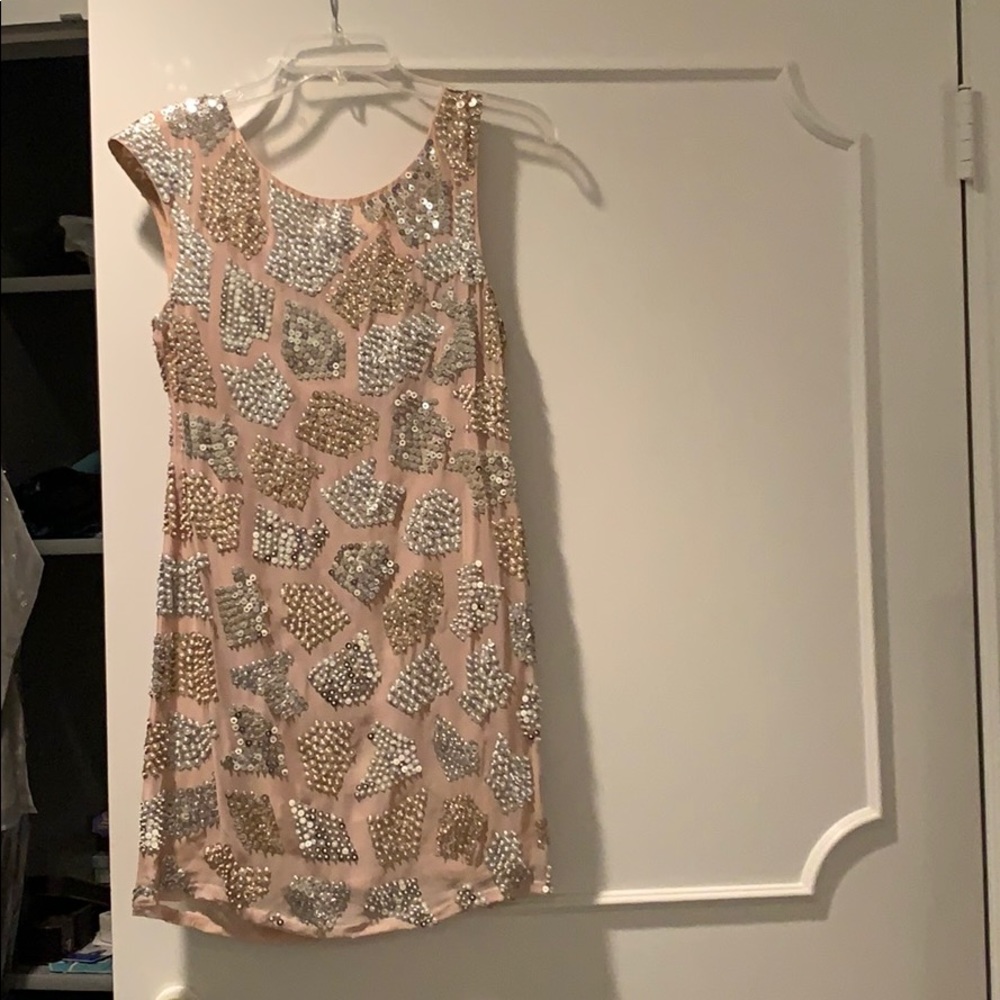 Blush Alice and Olivia dress with Studded Detail